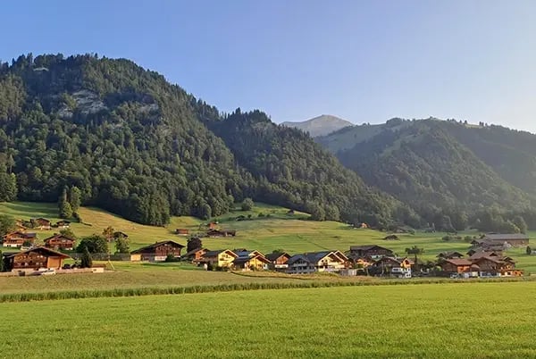 Niesenblick