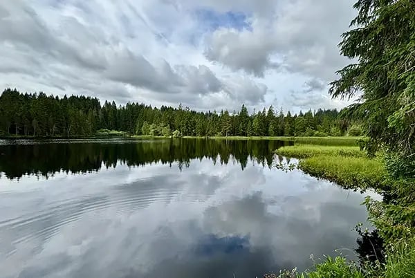 Etang de la Gruere